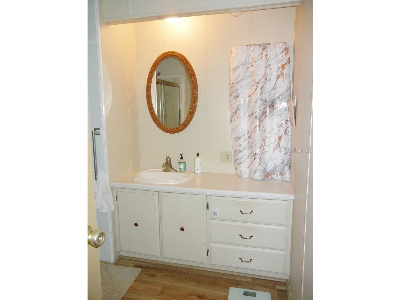 212 Rue De Pont Tavares FL 32778 - DORA CANAL G5109515 image19