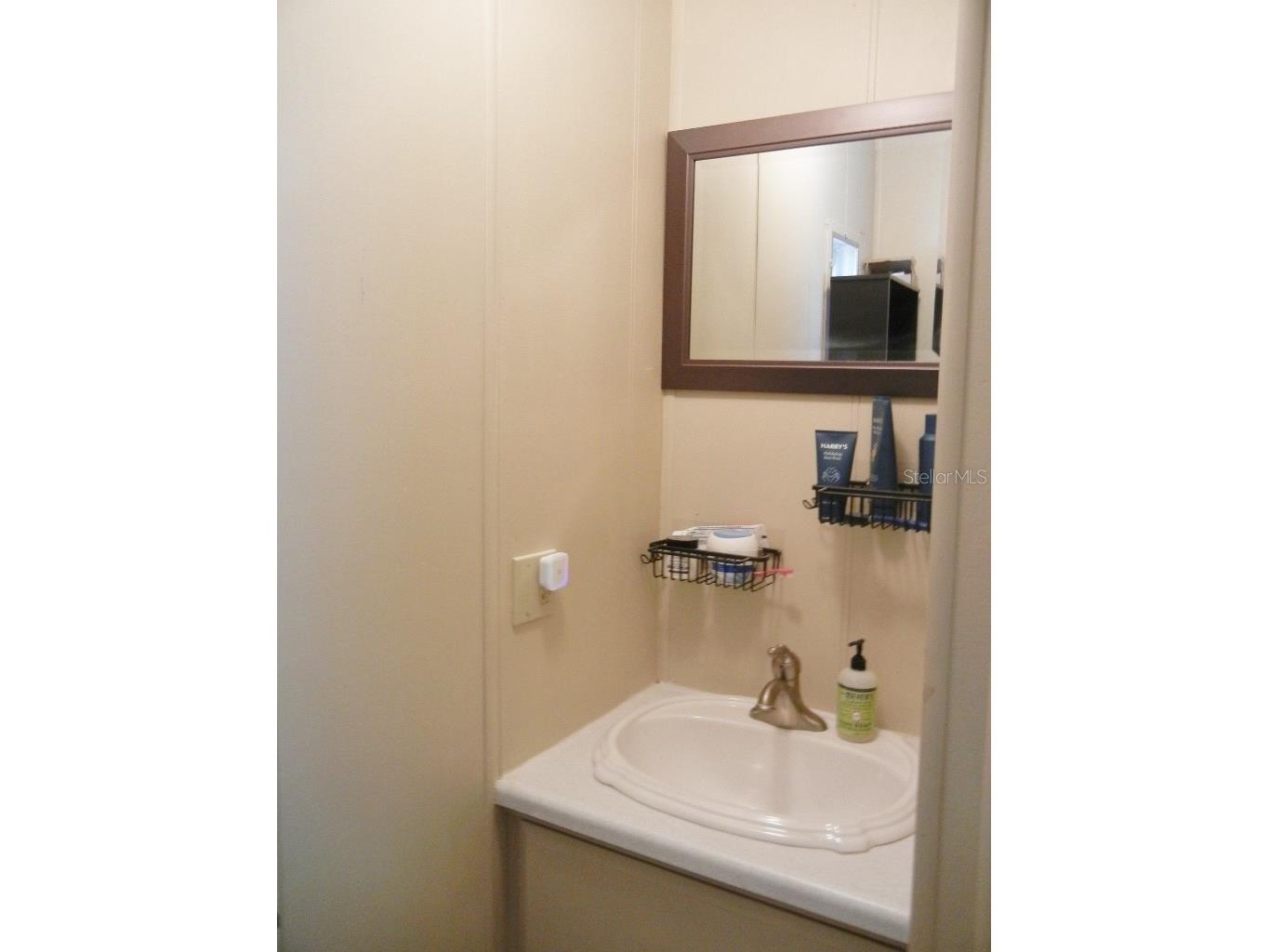 212 Rue De Pont Tavares FL 32778 - DORA CANAL G5109515 image27