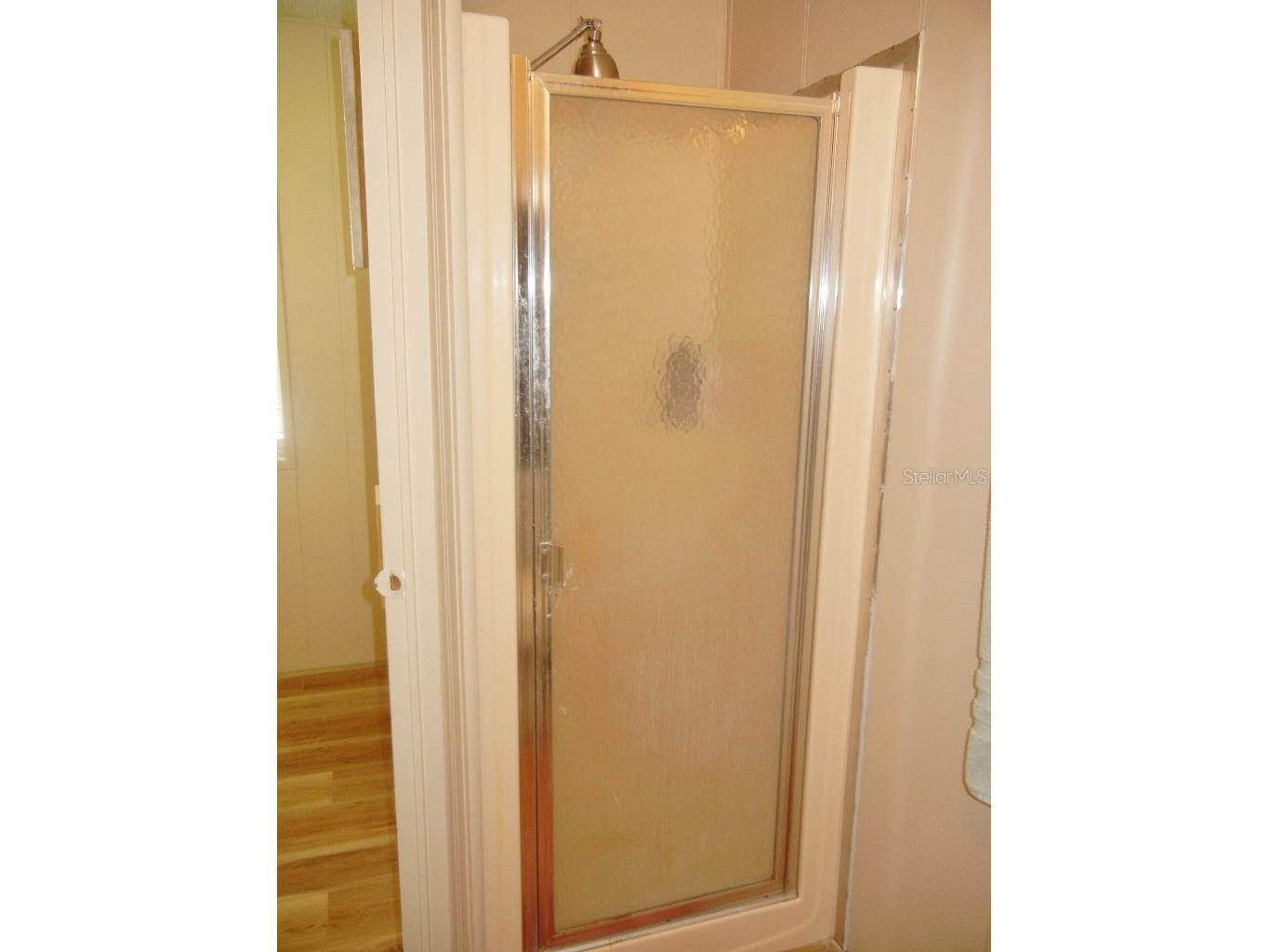 212 Rue De Pont Tavares FL 32778 - DORA CANAL G5109515 image28