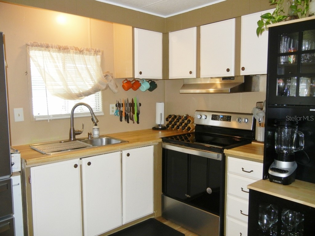 212 Rue De Pont Tavares FL 32778 - DORA CANAL G5109515 image8