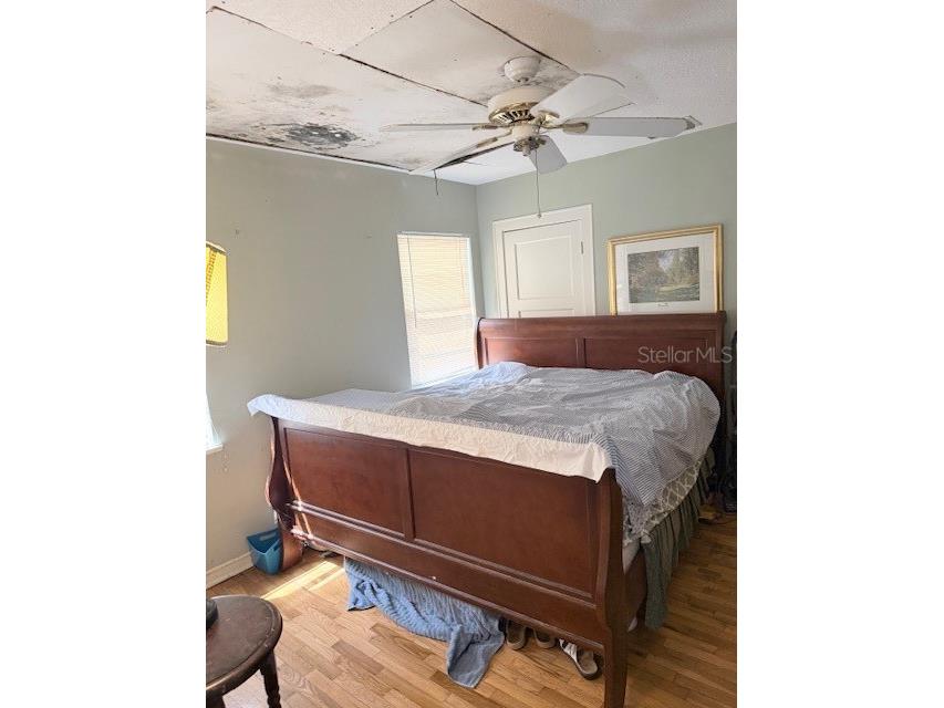 212 S Bradford Avenue Tampa FL 33609 TB8492396 image13