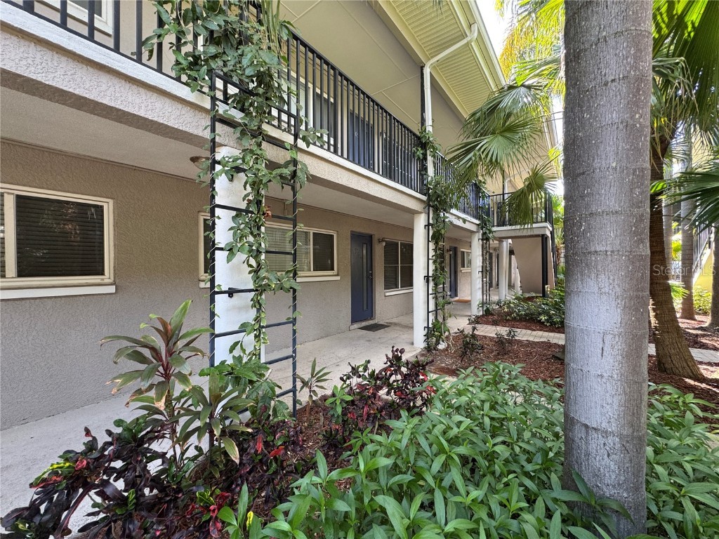 212 S Church Avenue #105 Tampa FL 33609 TB8367894 image1