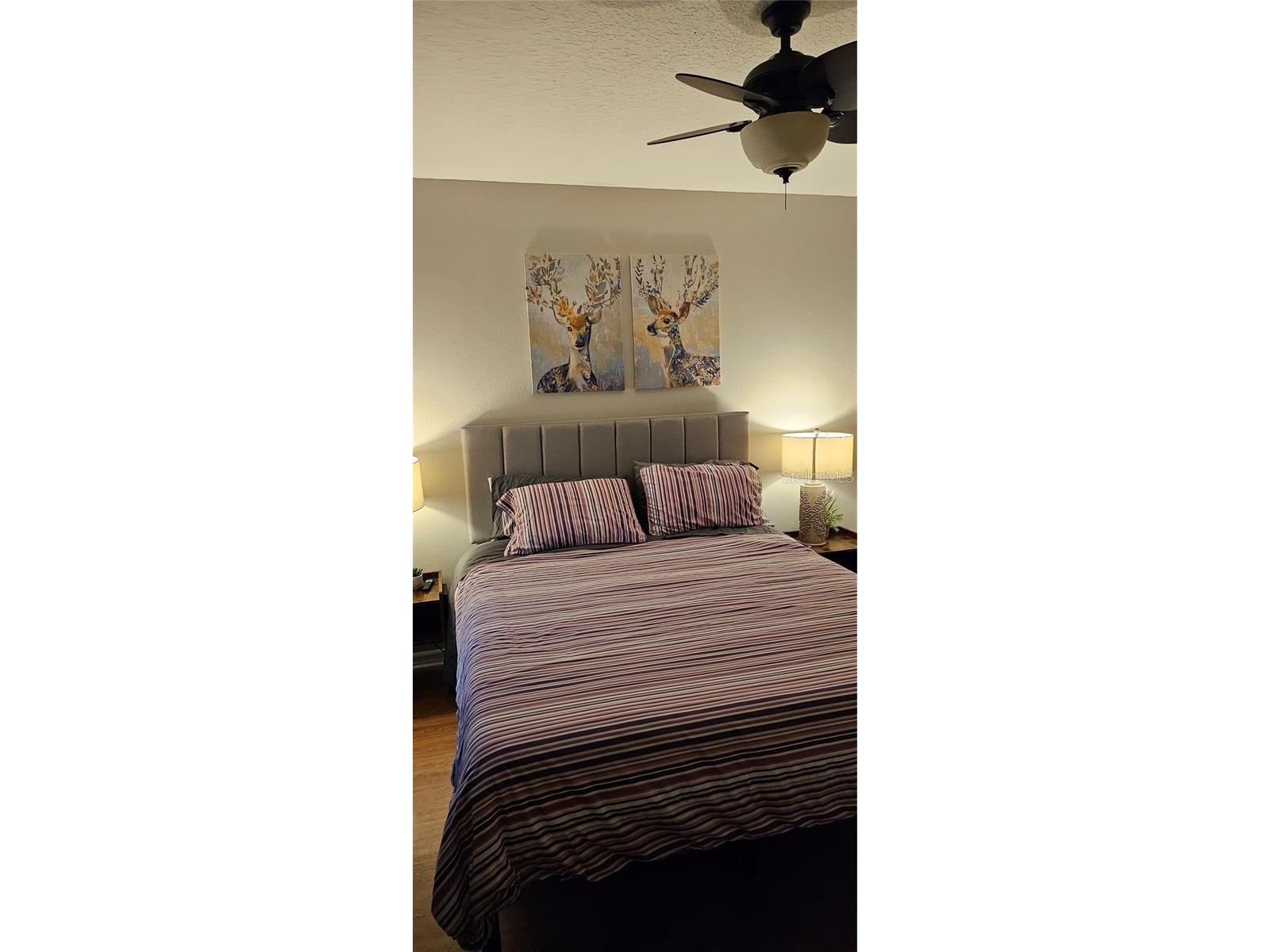 212 W South Avenue Tampa FL 33603 TB8492511 image33