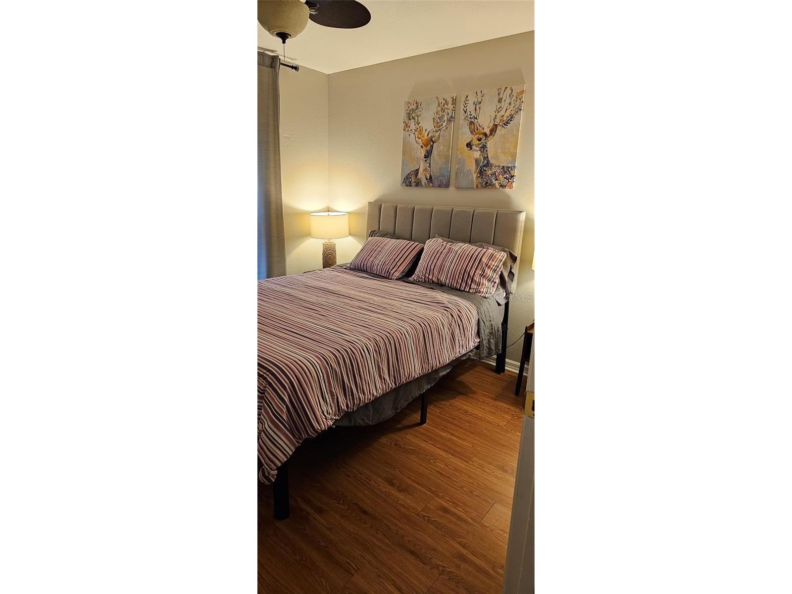 212 W South Avenue Tampa FL 33603 TB8492511 image34