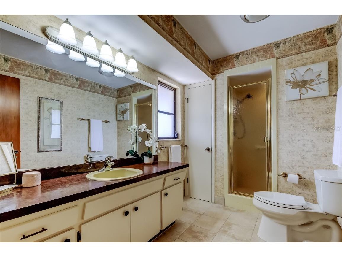 212 Westwinds Drive Palm Harbor FL 34683 TB8449728 image29