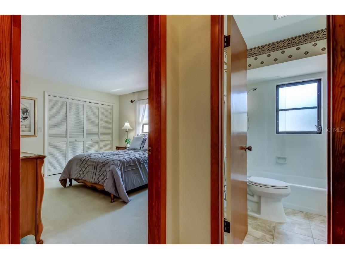 212 Westwinds Drive Palm Harbor FL 34683 TB8449728 image30