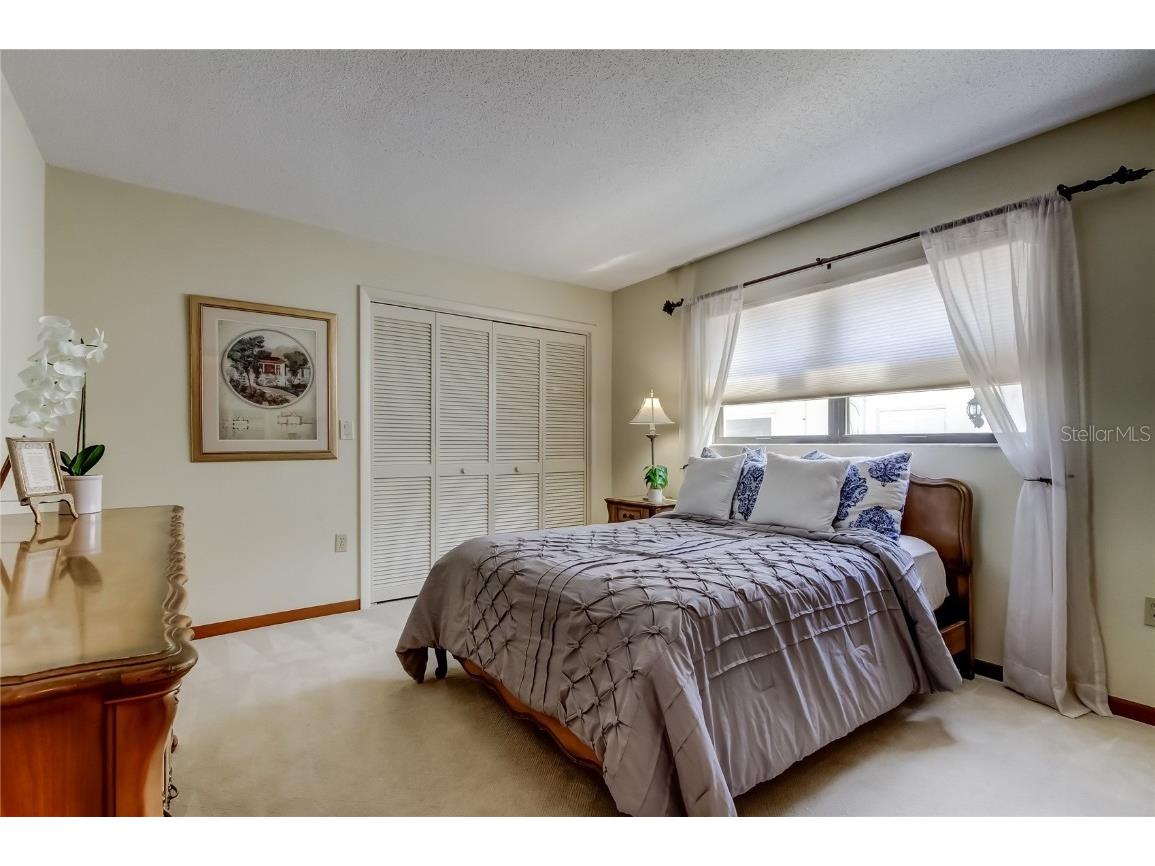 212 Westwinds Drive Palm Harbor FL 34683 TB8449728 image31