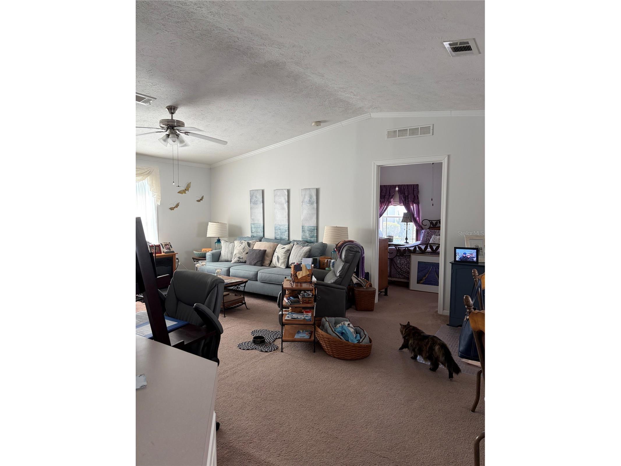 212 York Cottage Drive Haines City FL 33844 L4961778 image6