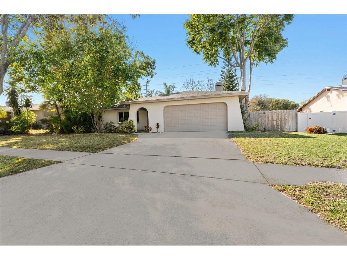 2120 Citrus Hill Lane Palm Harbor FL 34683 T3508026 image1