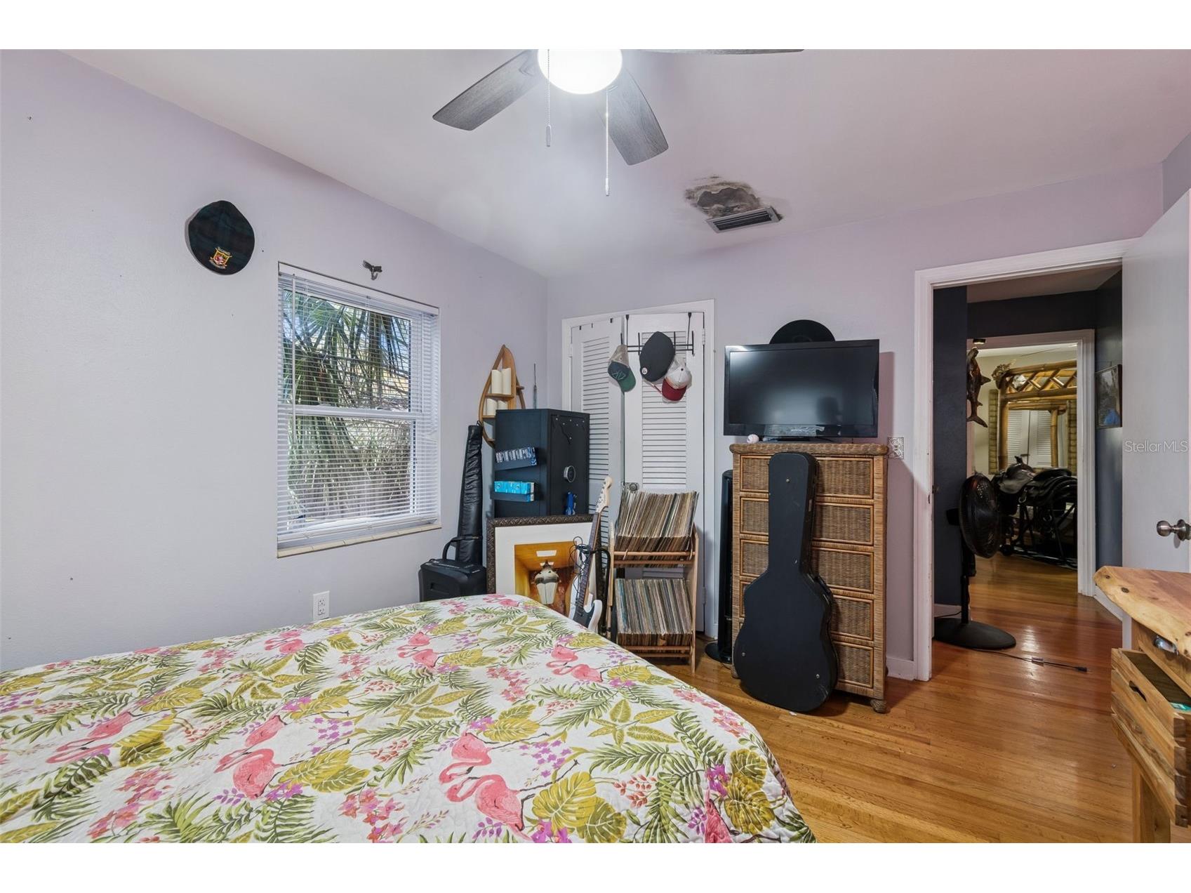 2120 Coronada Way S Saint Petersburg FL 33712 TB8483989 image39