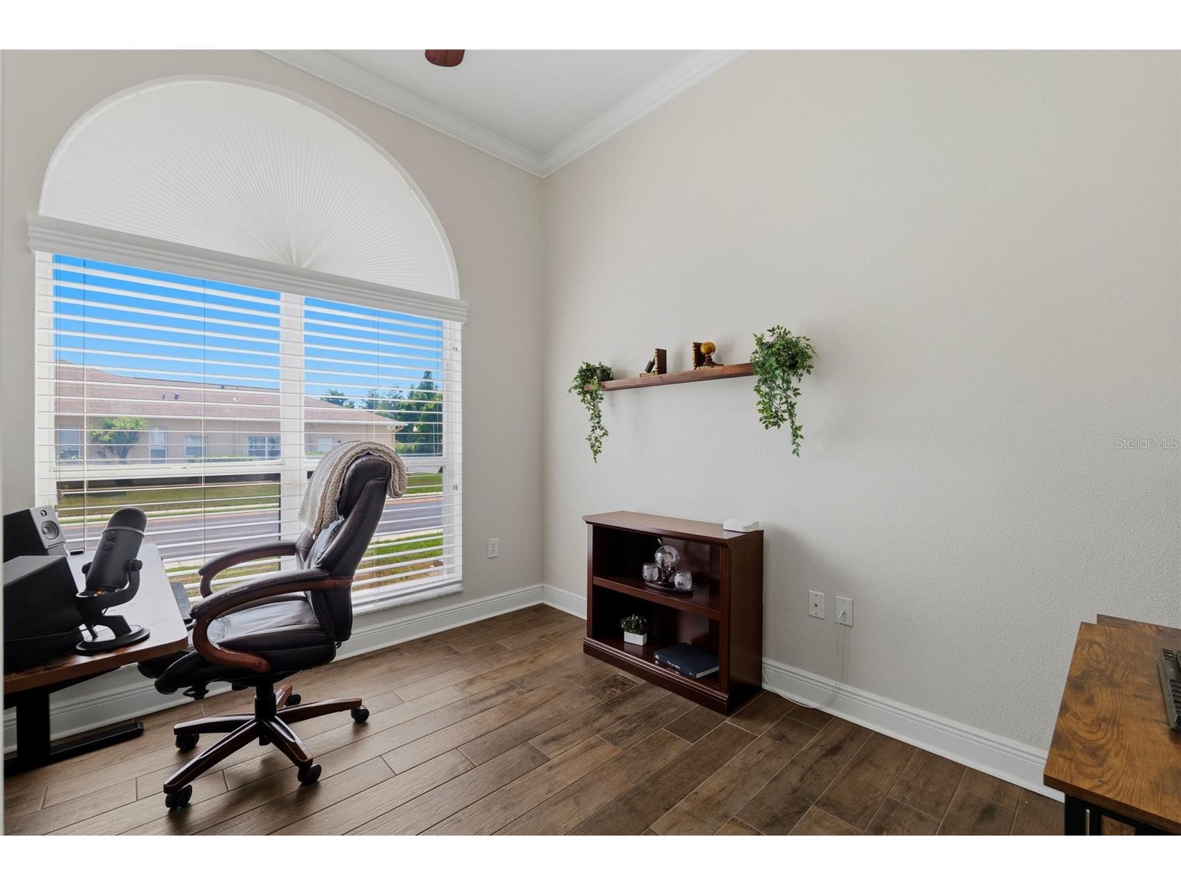 2120 Flameflower Court Trinity FL 34655 TB8505417 image13
