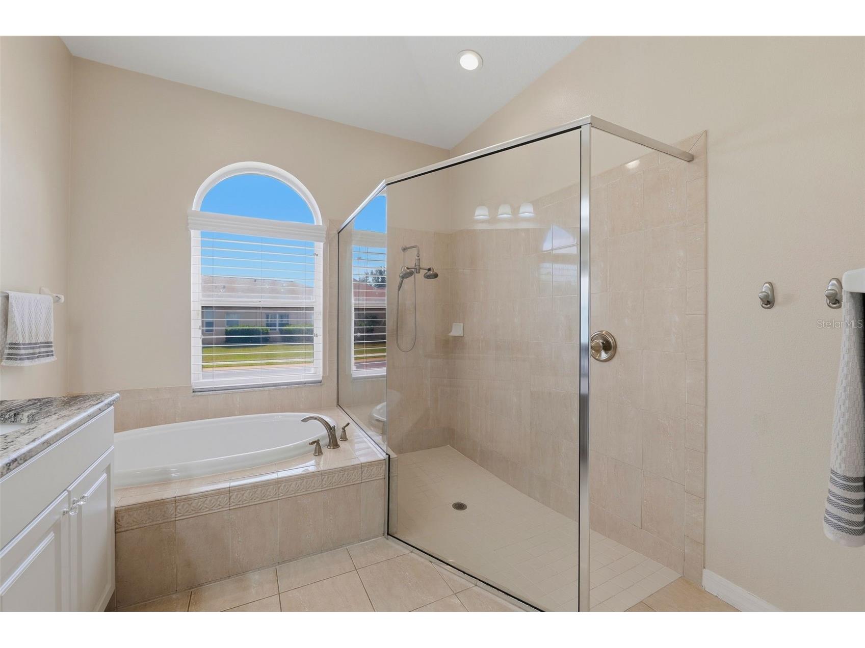 2120 Flameflower Court Trinity FL 34655 TB8505417 image19