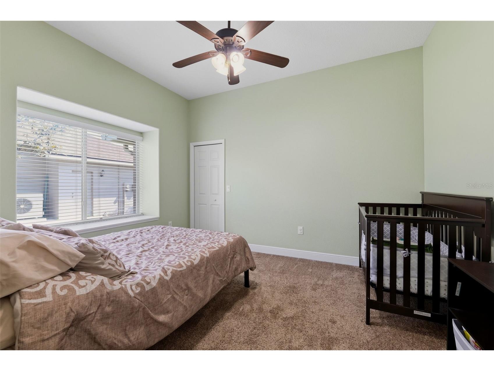 2120 Flameflower Court Trinity FL 34655 TB8505417 image31