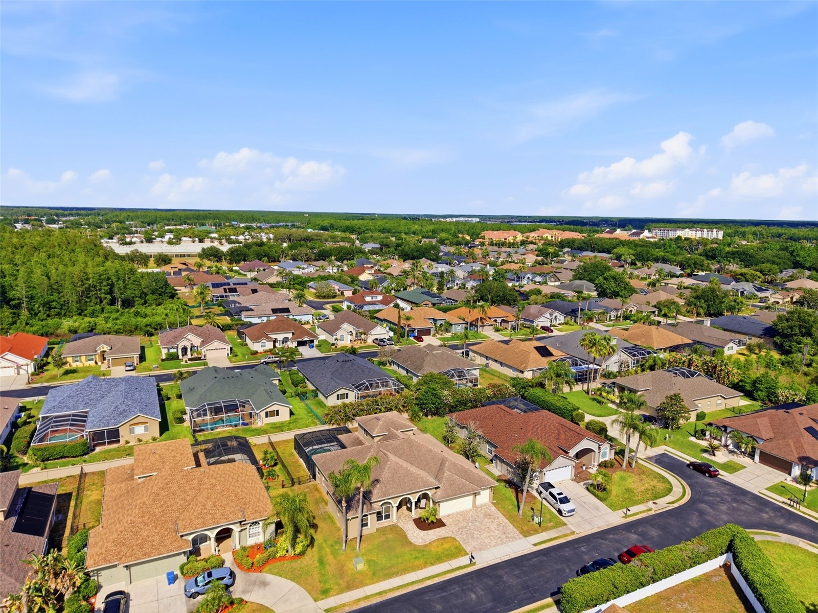 2120 Flameflower Court Trinity FL 34655 TB8505417 image52