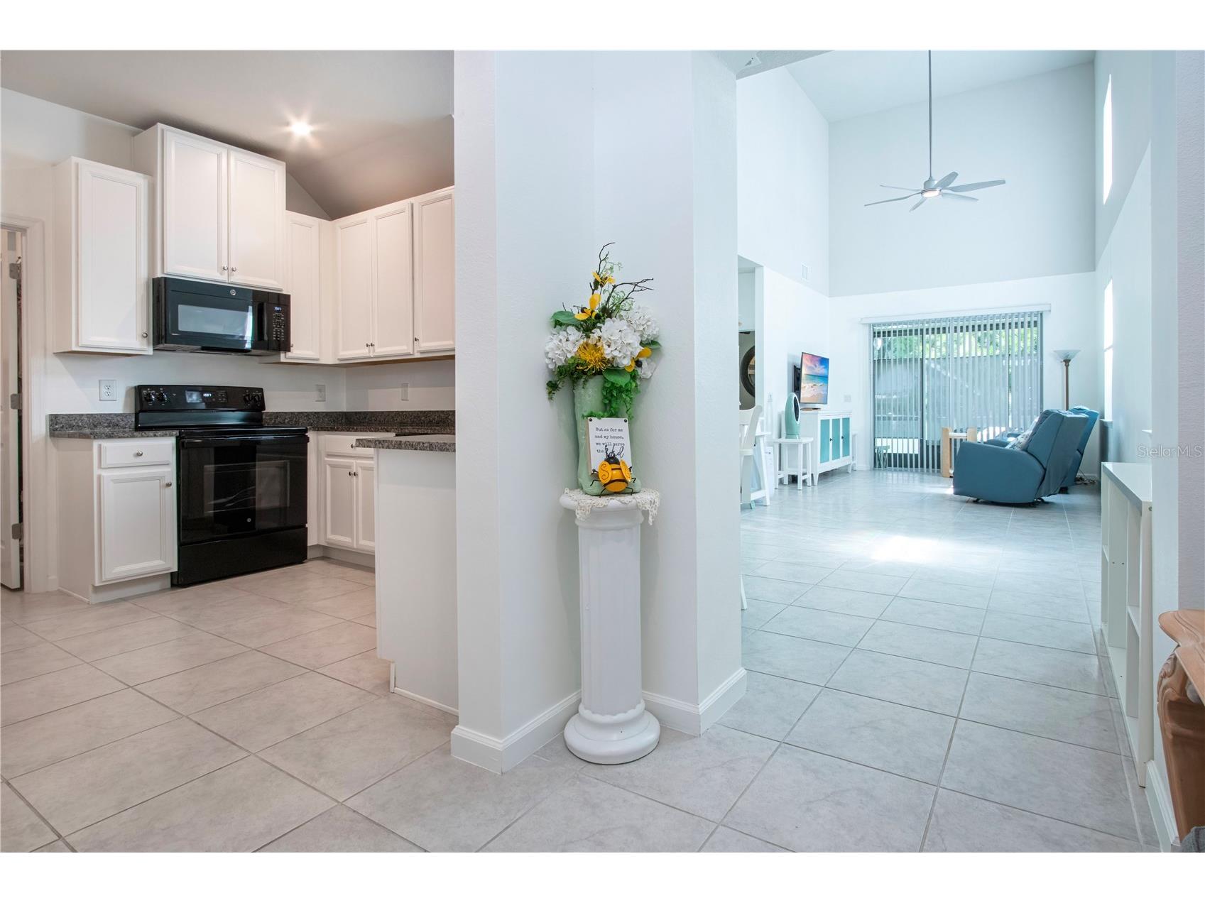 2120 Laceflower Drive Brandon FL 33510 A4694544 image11