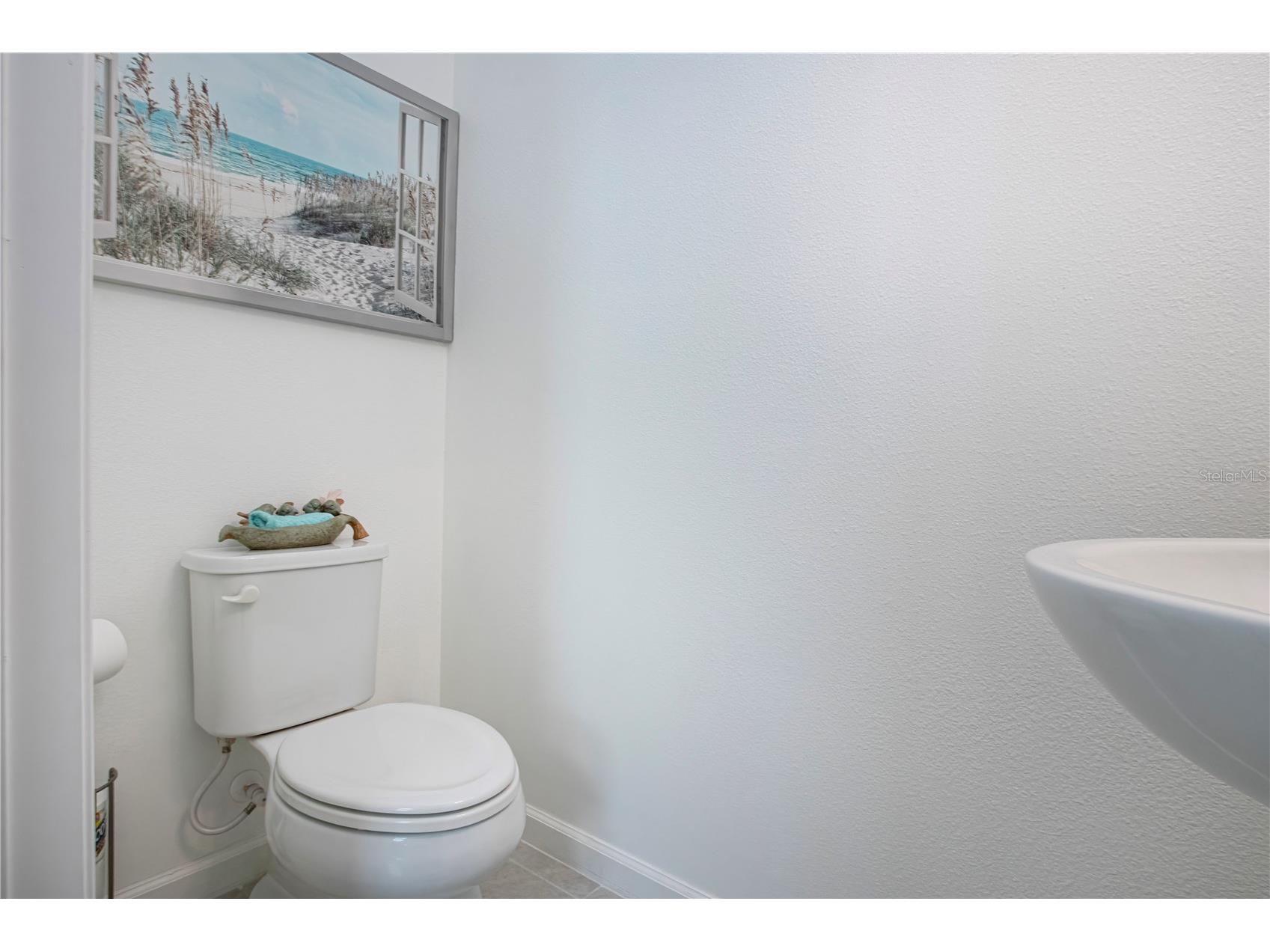 2120 Laceflower Drive Brandon FL 33510 A4694544 image16