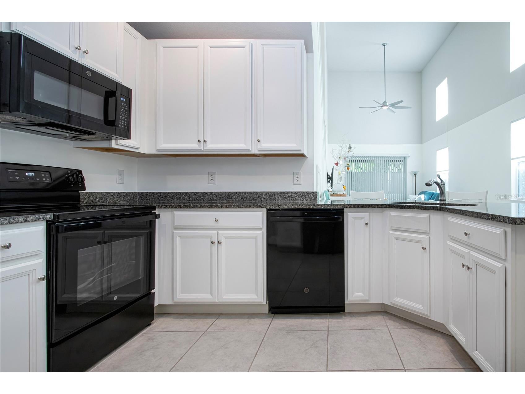2120 Laceflower Drive Brandon FL 33510 A4694544 image26
