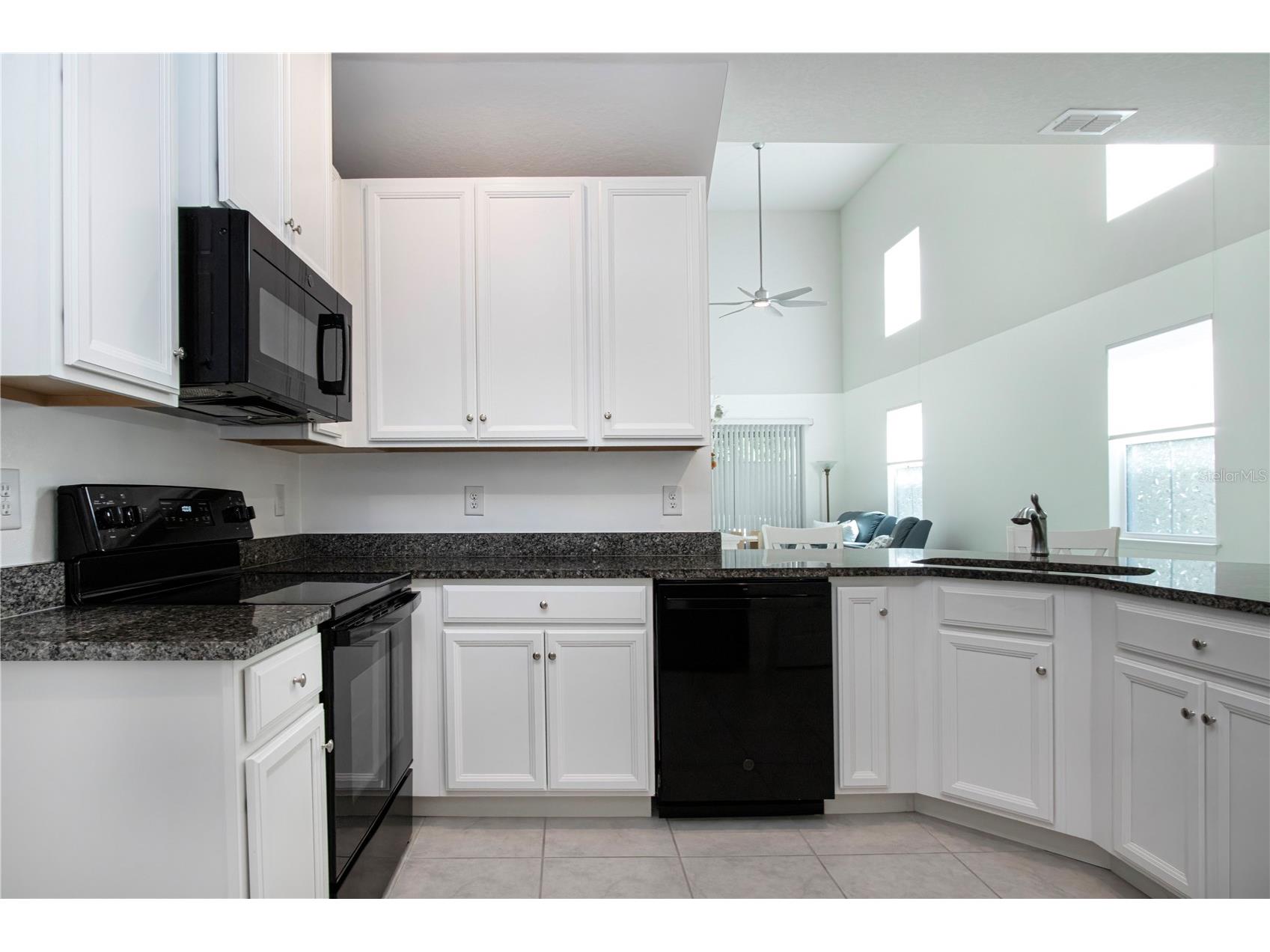 2120 Laceflower Drive Brandon FL 33510 A4694544 image27
