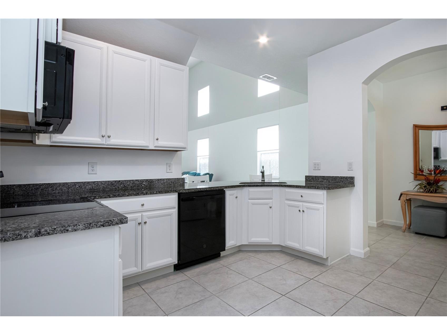 2120 Laceflower Drive Brandon FL 33510 A4694544 image28