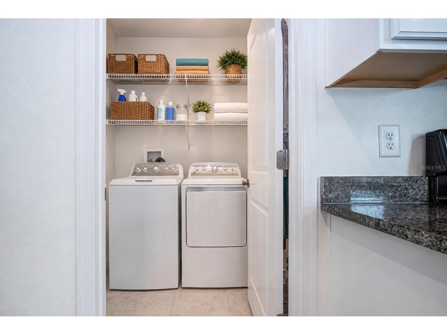 2120 Laceflower Drive Brandon FL 33510 A4694544 image31