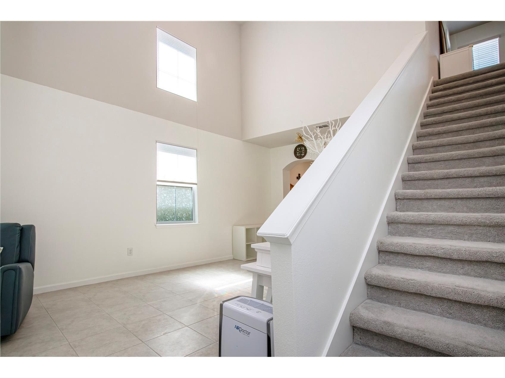 2120 Laceflower Drive Brandon FL 33510 A4694544 image45
