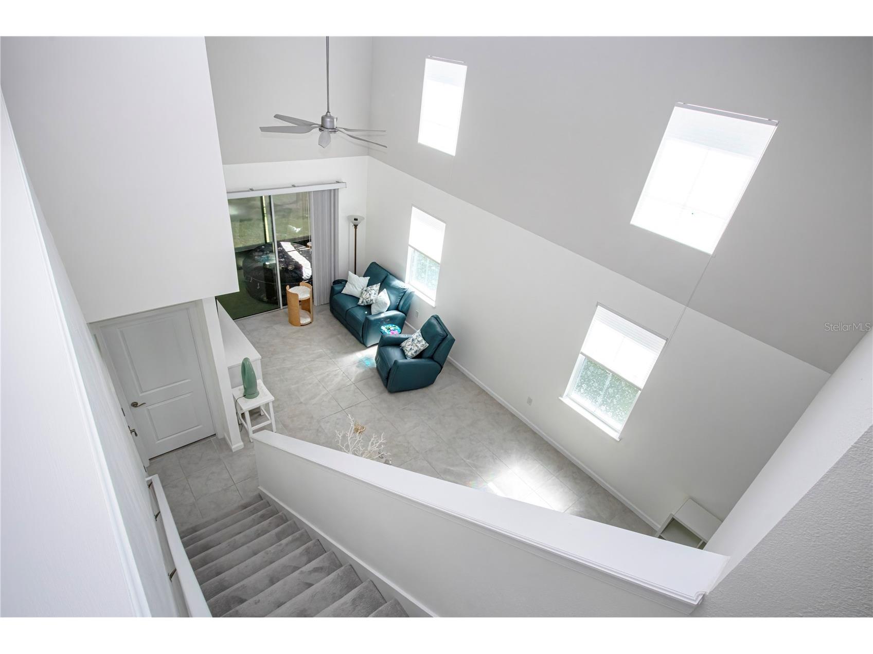 2120 Laceflower Drive Brandon FL 33510 A4694544 image46