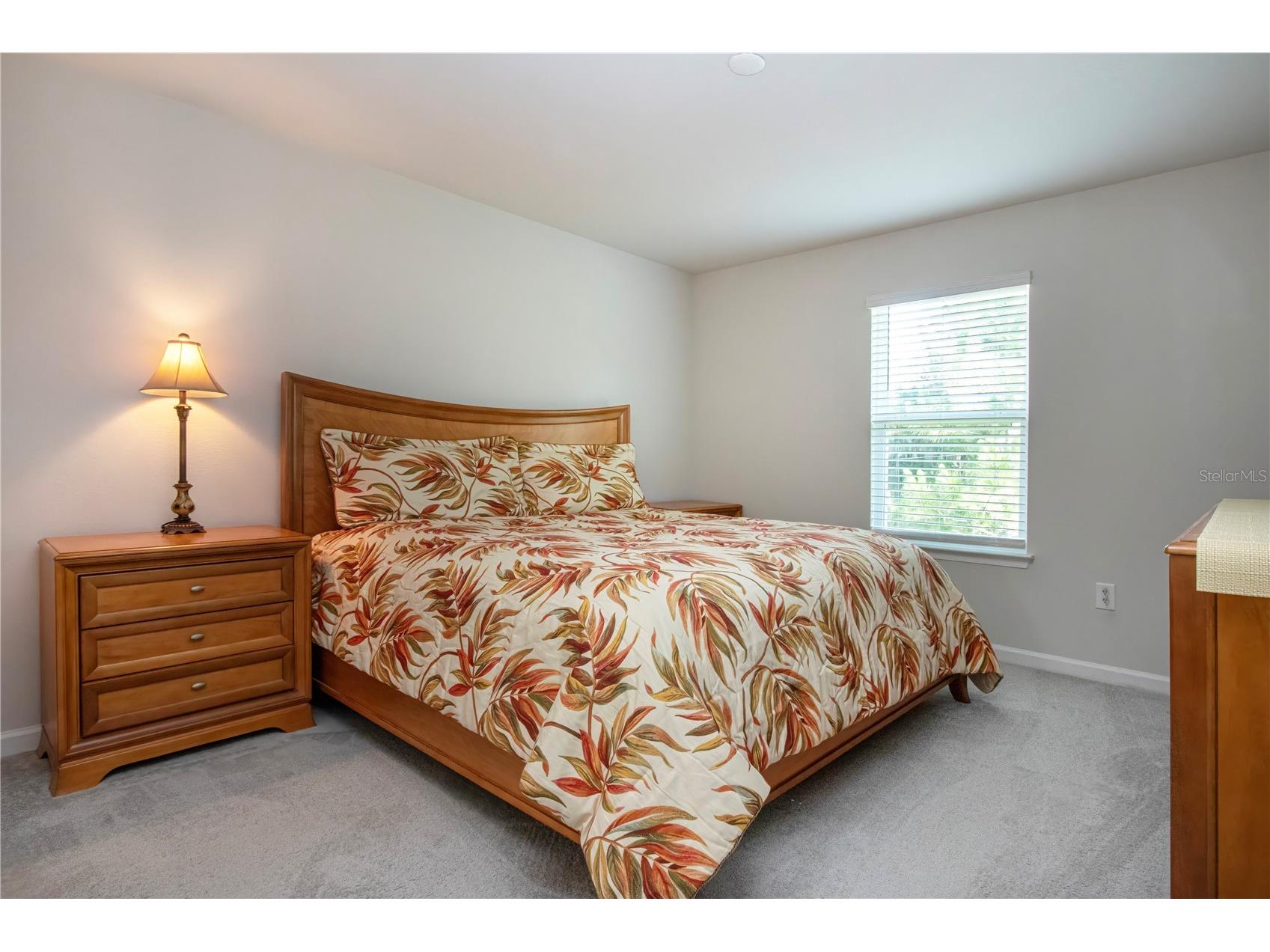 2120 Laceflower Drive Brandon FL 33510 A4694544 image49