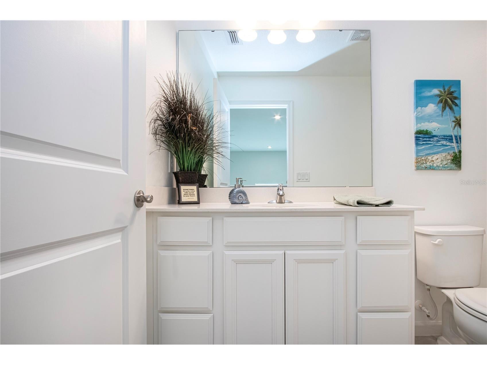 2120 Laceflower Drive Brandon FL 33510 A4694544 image53