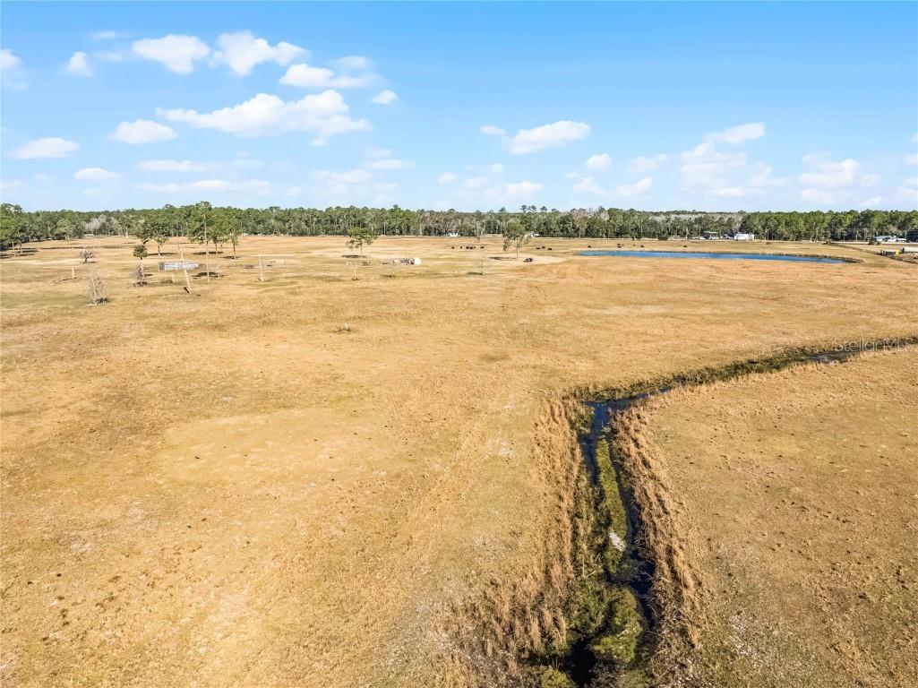 2120 St Johns River Road Astor FL 32102 V4946534 image10