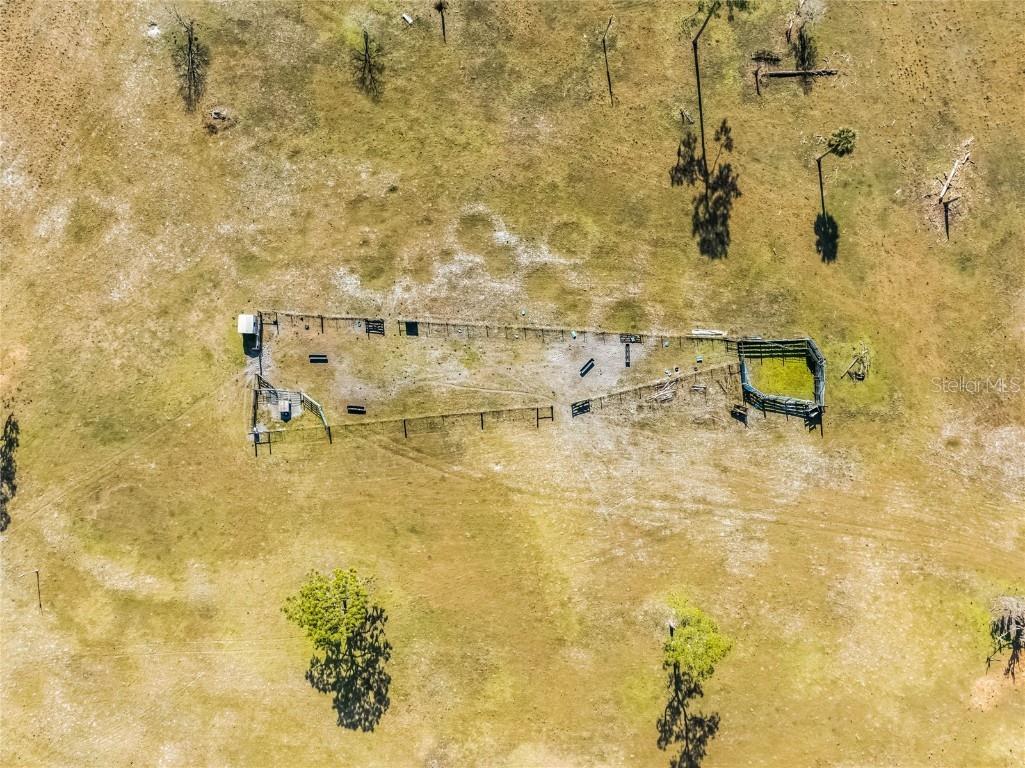 2120 St Johns River Road Astor FL 32102 V4946534 image11