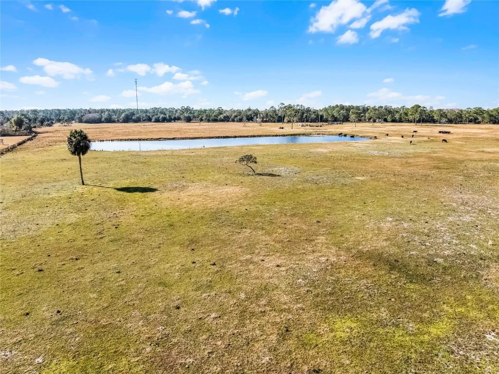 2120 St Johns River Road Astor FL 32102 V4946534 image12