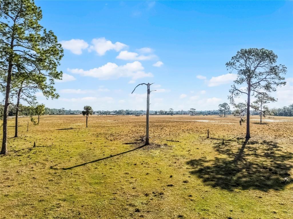 2120 St Johns River Road Astor FL 32102 V4946534 image13
