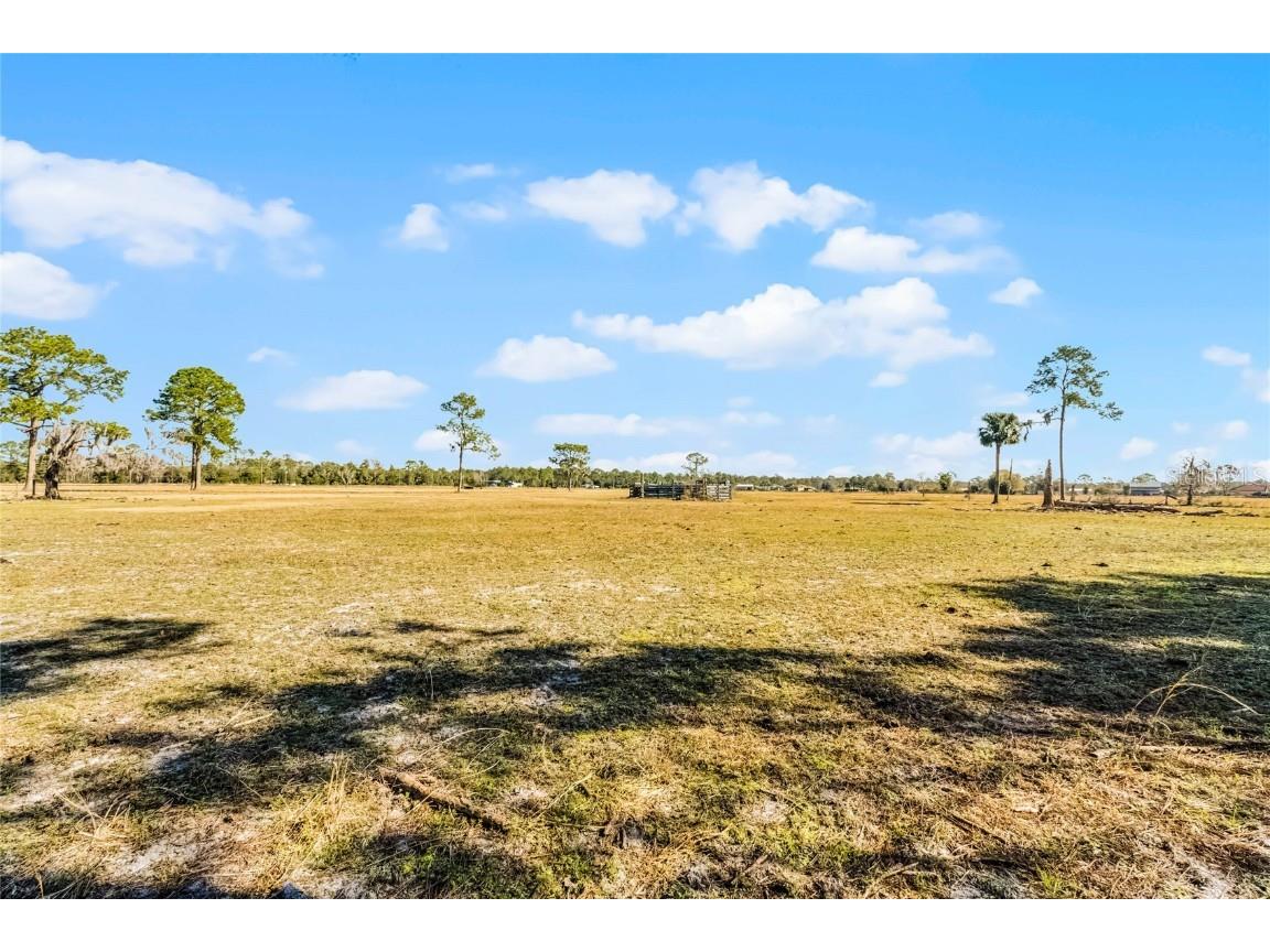 2120 St Johns River Road Astor FL 32102 V4946534 image14