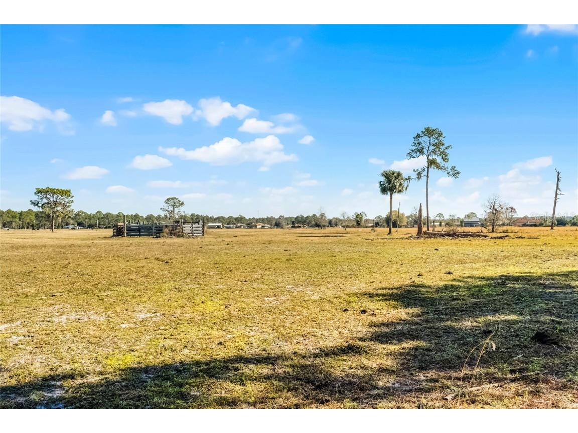 2120 St Johns River Road Astor FL 32102 V4946534 image15
