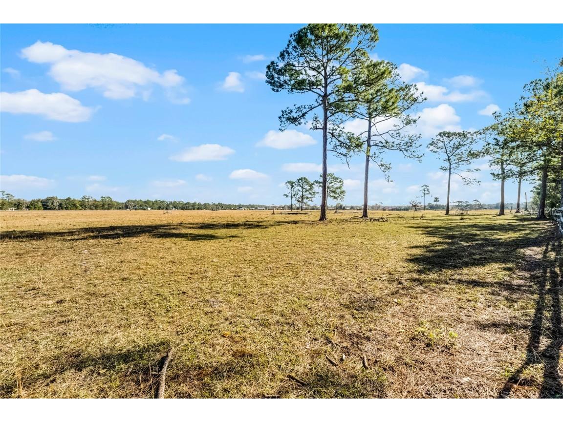 2120 St Johns River Road Astor FL 32102 V4946534 image17