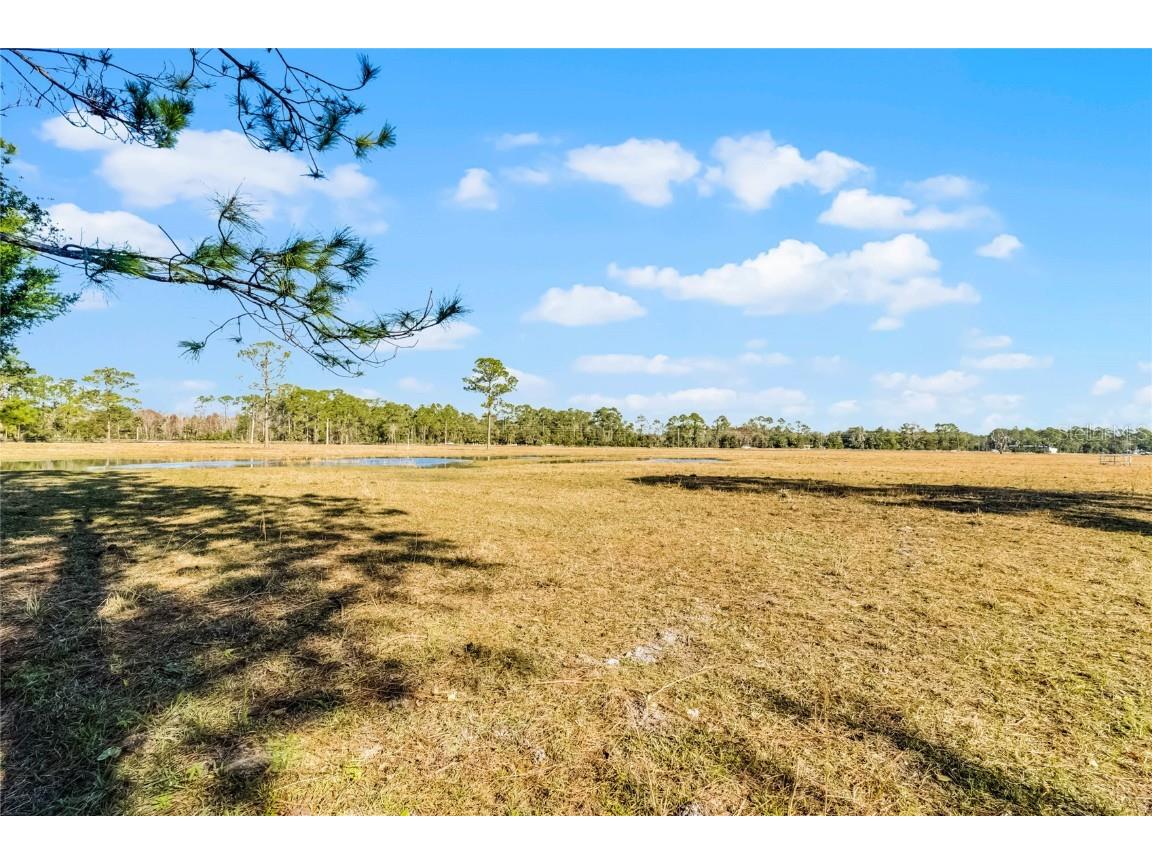 2120 St Johns River Road Astor FL 32102 V4946534 image18