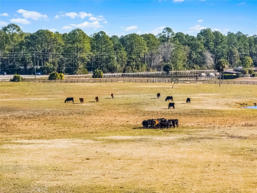 2120 St Johns River Road Astor FL 32102 V4946534 image2
