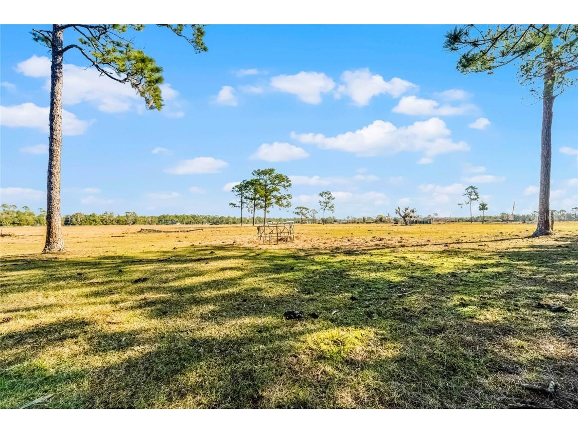 2120 St Johns River Road Astor FL 32102 V4946534 image20