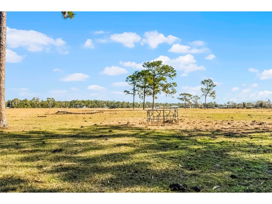 2120 St Johns River Road Astor FL 32102 V4946534 image21