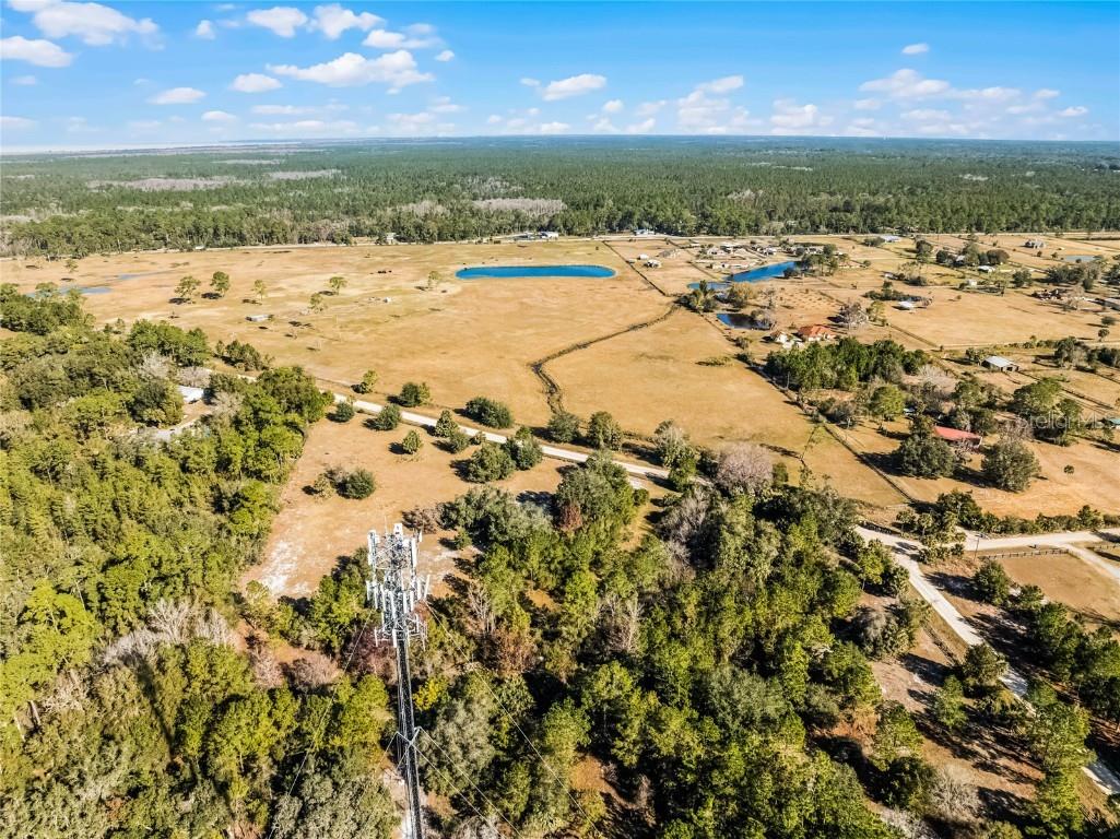 2120 St Johns River Road Astor FL 32102 V4946534 image22