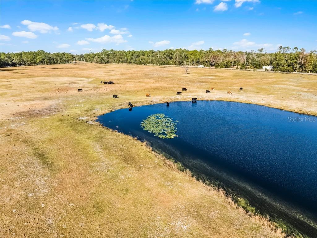 2120 St Johns River Road Astor FL 32102 V4946534 image3