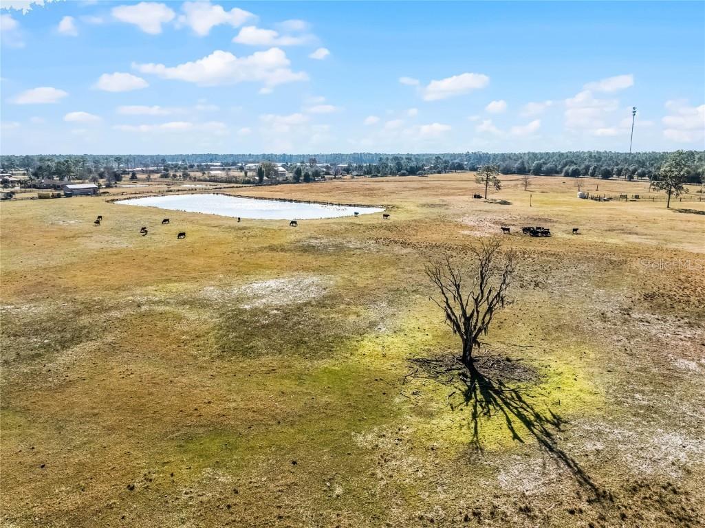 2120 St Johns River Road Astor FL 32102 V4946534 image8