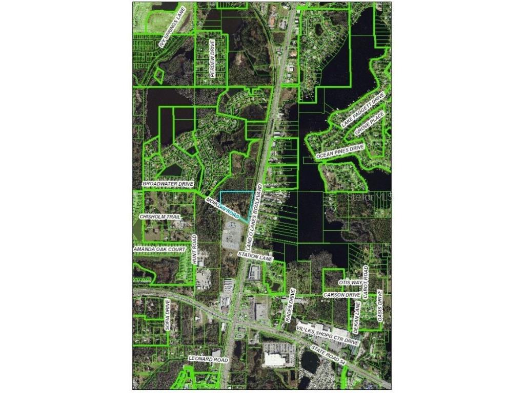 21201 Morgan Road Land O Lakes FL 34638 U8219533 image1