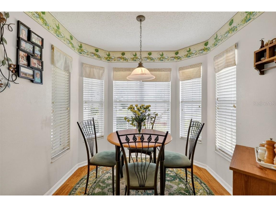 21202 Braveheart Drive Leesburg FL 34748 G5104368 image20