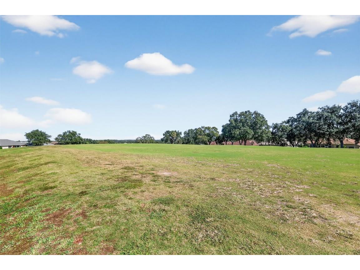 21202 Braveheart Drive Leesburg FL 34748 G5104368 image37