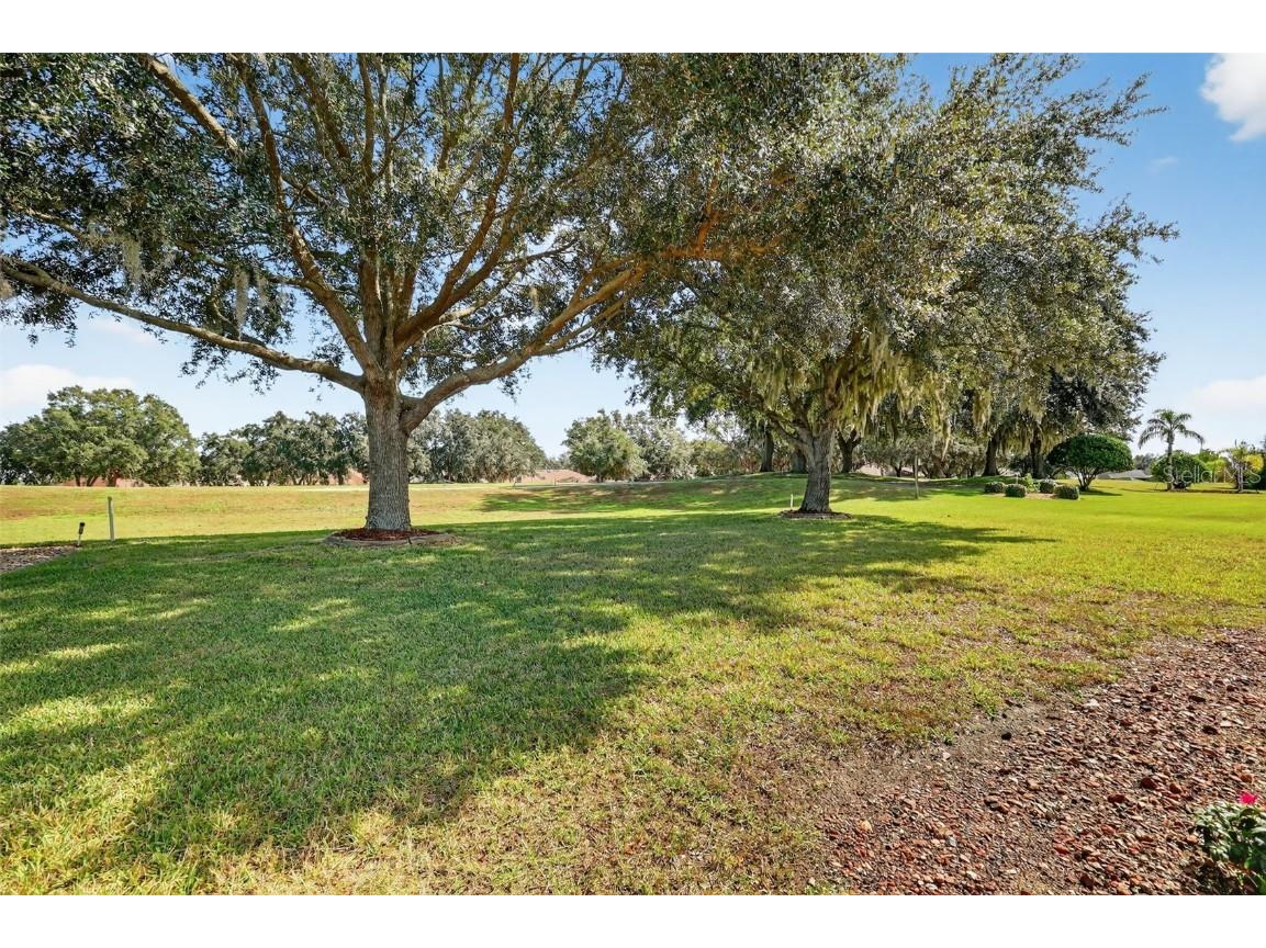 21202 Braveheart Drive Leesburg FL 34748 G5104368 image43