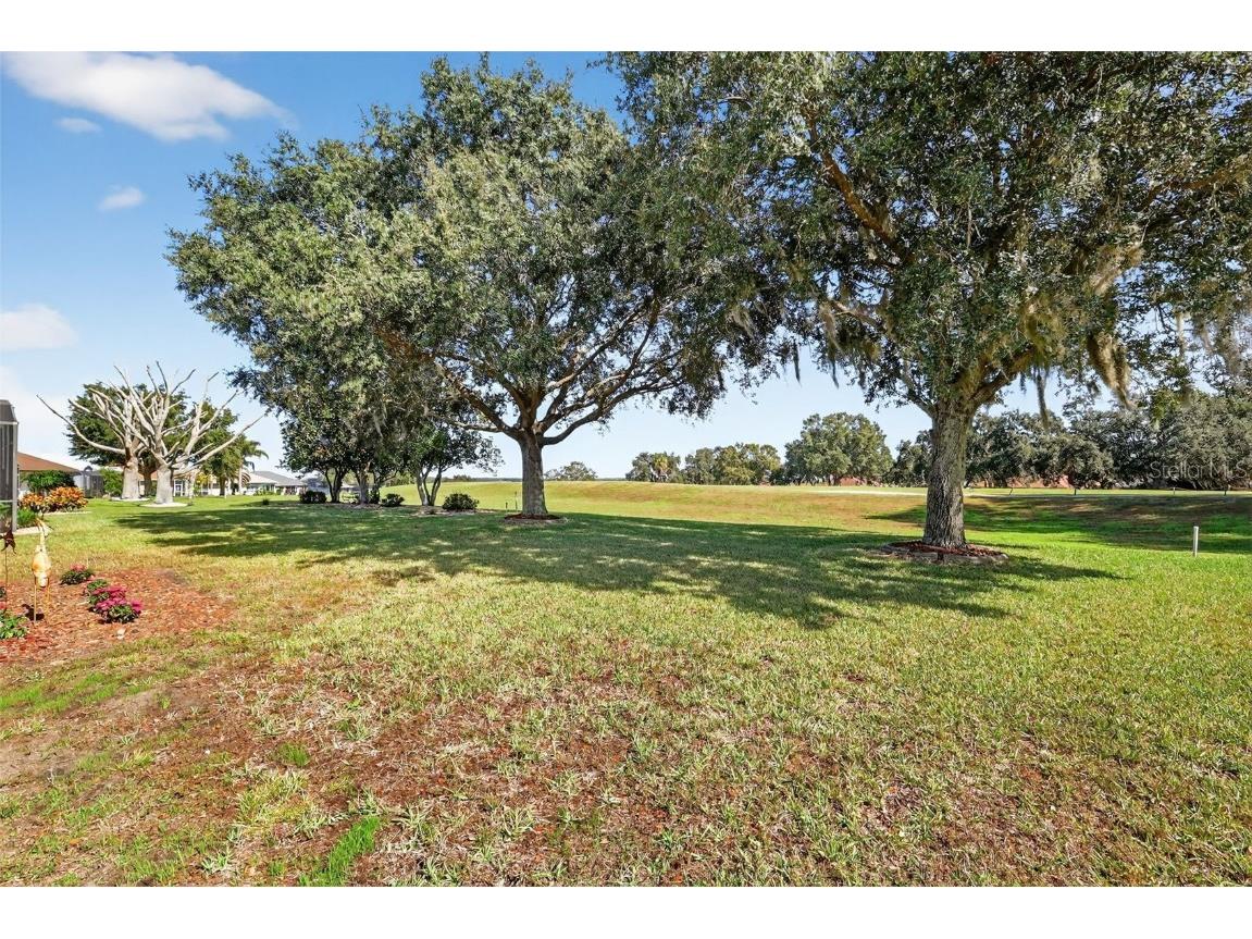 21202 Braveheart Drive Leesburg FL 34748 G5104368 image44