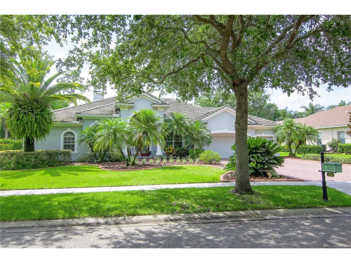 21202 Sky Vista Drive Land O Lakes FL 34637 T3449398 image1