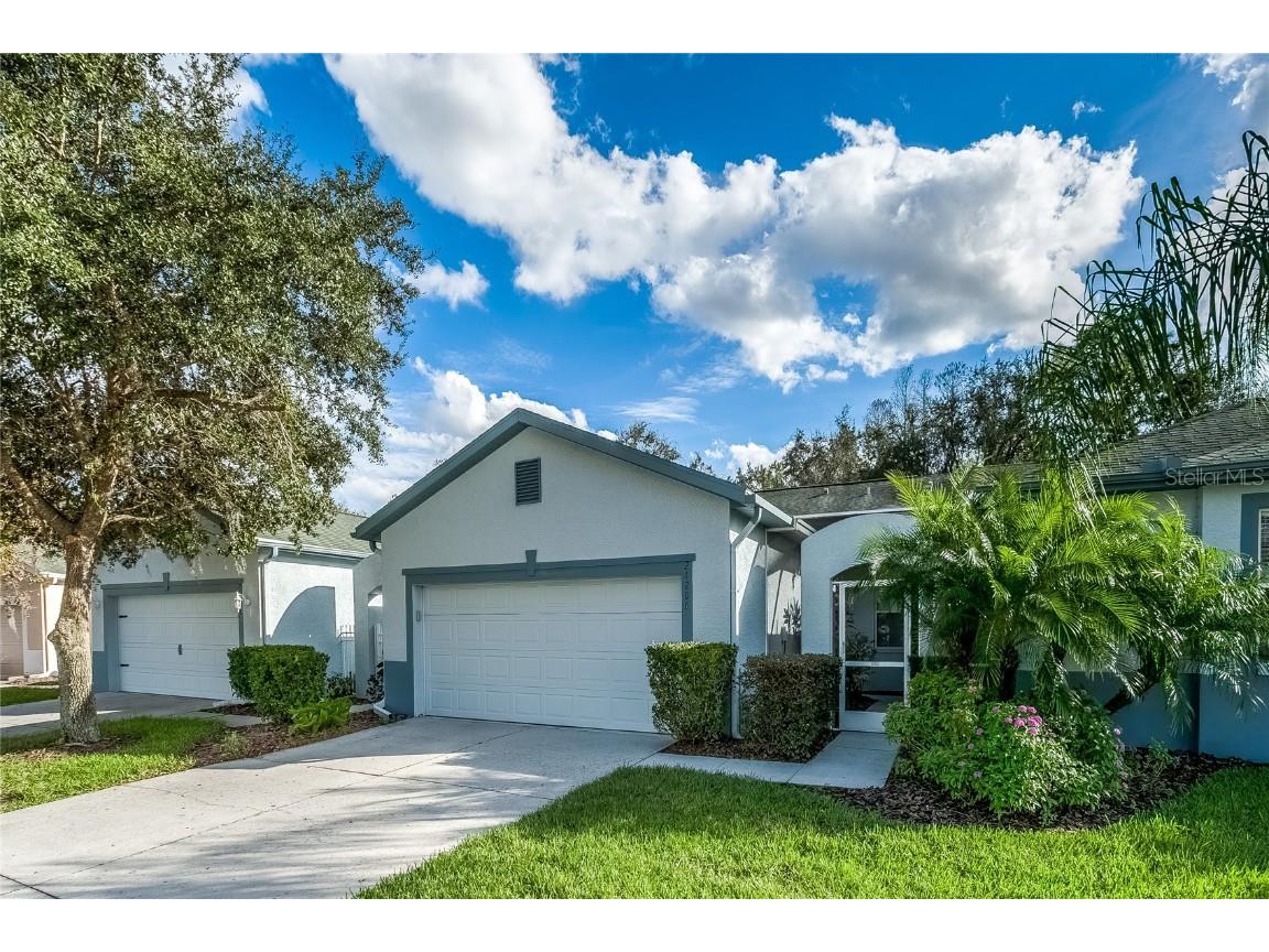21206 Diamonte Drive Land O Lakes FL 34637 T3349279 image1