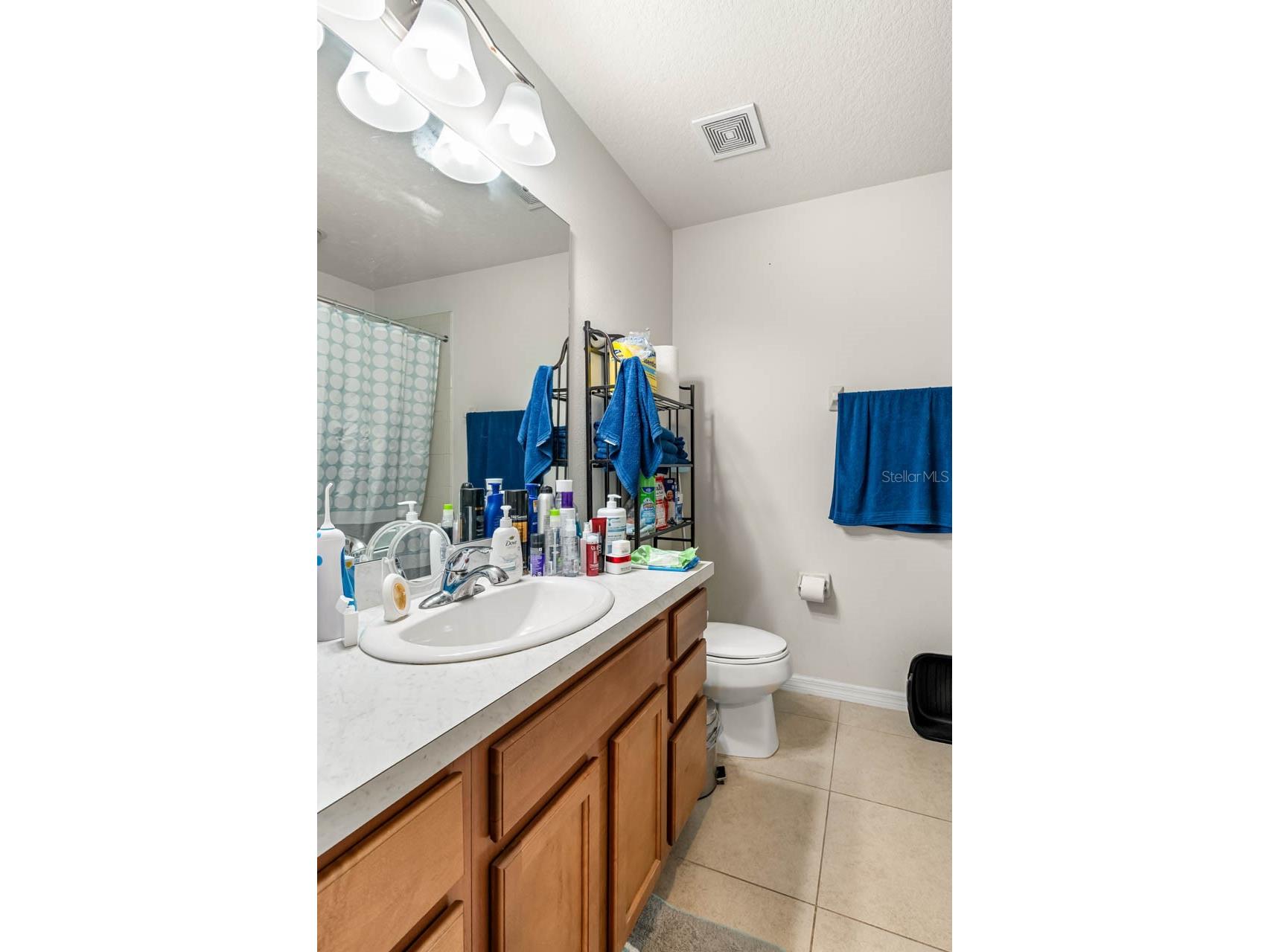 2121 Broadway View Avenue Brandon FL 33510 TB8514712 image20